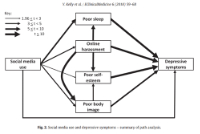Bild 2: Social media use and depressive symptoms-summary of path analysis.